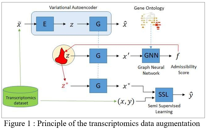Sujet_these_2021_BH_Knowledge_Aware_Data_Augmentation_for_Transcriptomics-05052021_fig1