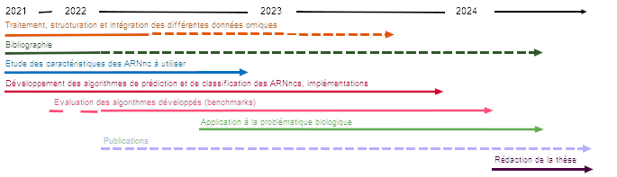 Sujet_these_2021_FT_Deep_learning_algorithms_for_the_prediction_classification_and_analysis_of_long_non_coding_RNAs_fig3