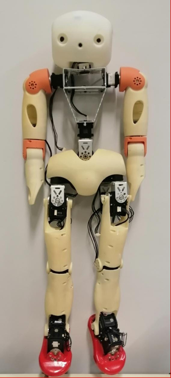 Figure 1: Hopalala Humanoid Robot