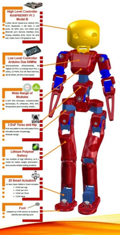 Figure 2: Hopalala Humanoid Robot parts