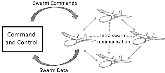 Figure 2 : Intra  UAV swarm communication network