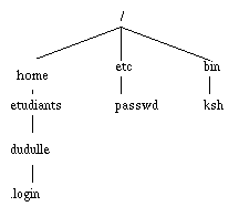 arborescence EF